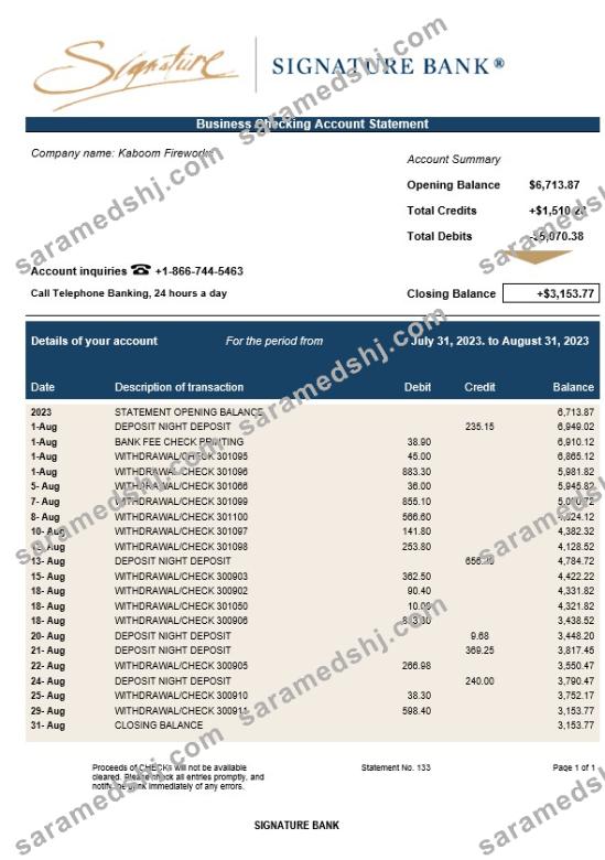Signature Bank enterprise statement Word and PDF template